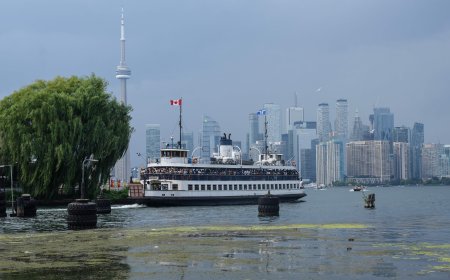 Toronto offers free ferry tickets ‘in celebration of waterfront victory’