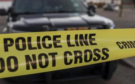 Calgary police homicide unit investigating after man killed in stabbing overnight