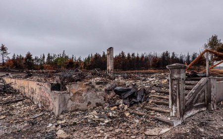 Devastating 2025 N.L. wildfire was suspicious and police are appealing for witnesses