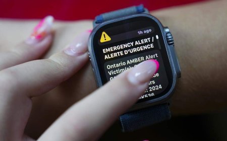 New Brunswick advocates join call for emergency alerts for vulnerable missing people