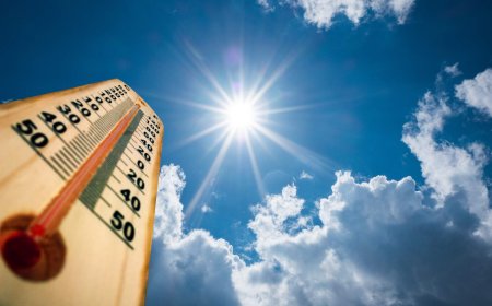 Heat warnings issued for cities of Calgary, Medicine Hat