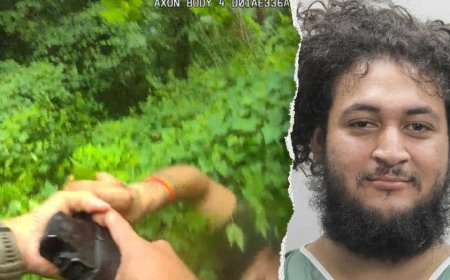 ICE lodges detainer for illegal immigrant accused of trying to disarm Virginia police officer