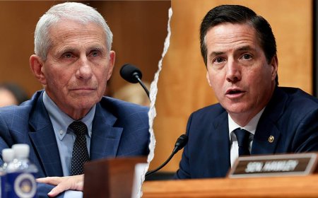Moreno unloads on Fauci after Senate hearing, calls him Democrats' 'hero' over pandemic policies
