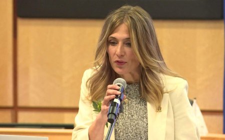 City councils grapple with emails, presenters from outside voter base