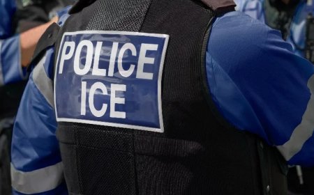 ICE Leadership Caught Arresting Some Illegals And RELEASING Other Potential Illegals WITHOUT Checking