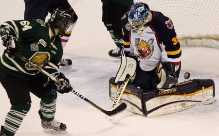 OHL approves Barrie Colts sale to Toronto-area businessman John Careri