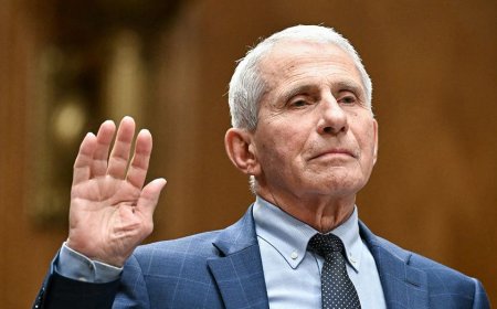 Fauci faces lifetime ban from federal government work under new bill following explosive hearing