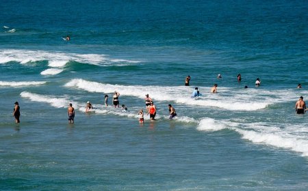 Shark Week advisory as warming seas push blacktips farther north along East Coast