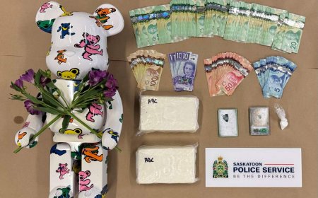 Cocaine, collectible bear seized in Saskatoon drug bust