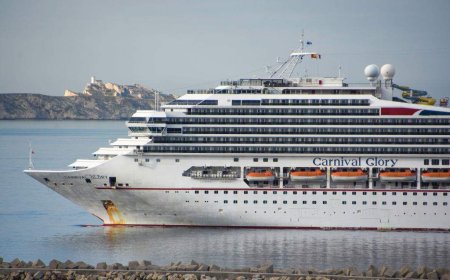 U.S. cruise passenger charged after allegedly hitting kids playing tag