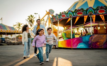 State fair survival guide: 18 essentials you'll actually use