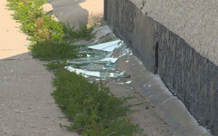 Winnipeg mosque was likely shot at with pellet-style gun, police say