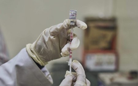 Cat with rabies prompts 3 people to receive emergency treatment in Montreal area