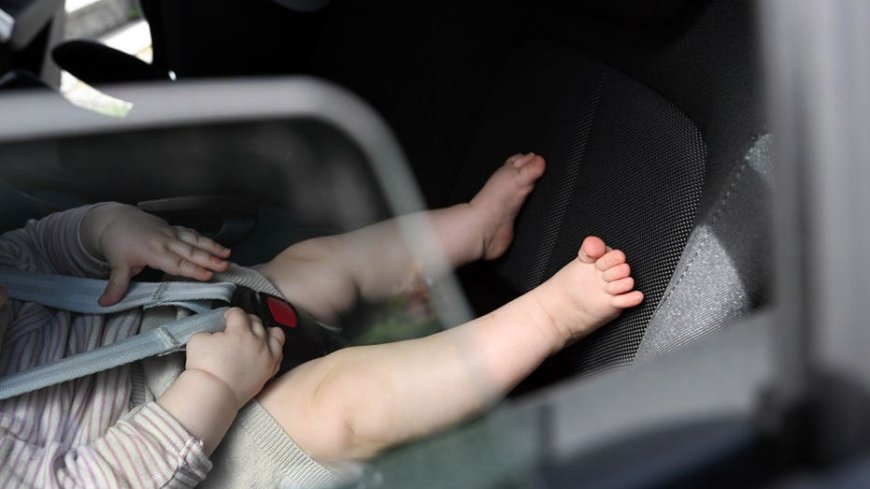 Florida toddler dies after father realizes child was left in SUV during daycare pickup