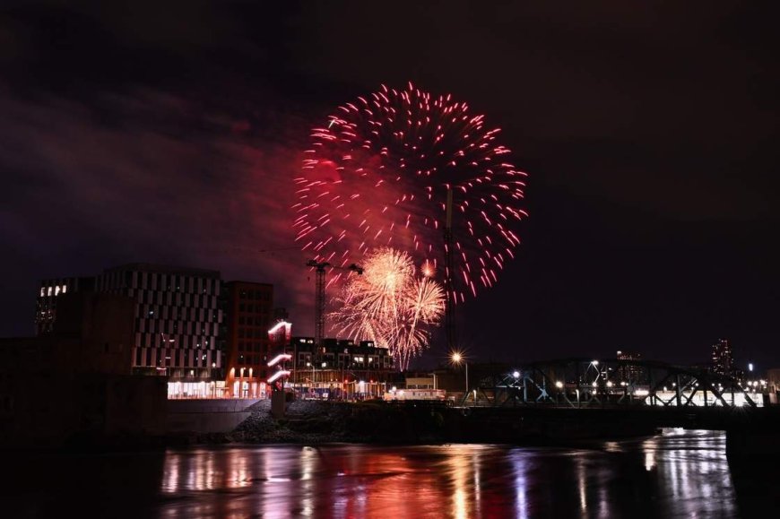 Canada Day fireworks and pets: How to keep your furry friend safe