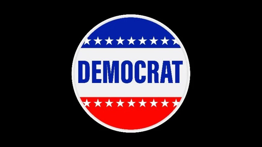 Democrats Pick Up The Global Digital ID Agenda In Project 2029