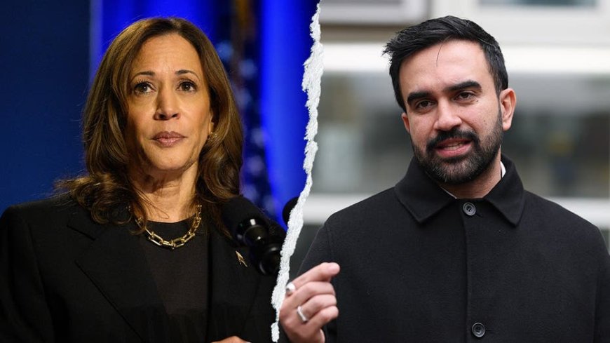 Harris reaches out to socialist mayor Mamdani in latest sign she's shoring up support for possible 2028 bid