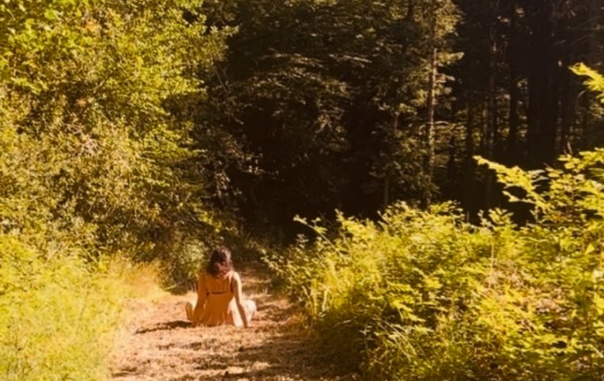 I thought I needed to fix my life. Nature showed me I needed to remember it.
