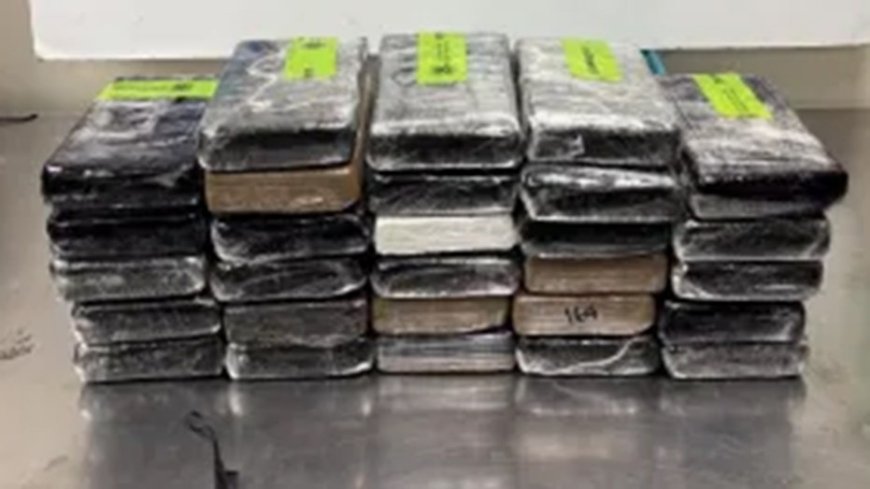 Border agents uncover $3.7M in cocaine masquerading as a cucumber delivery