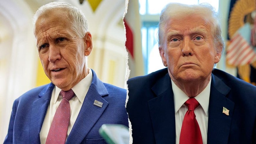 Republican says Trump's top election priority 'dead' in Senate as GOP fractures ahead of midterms