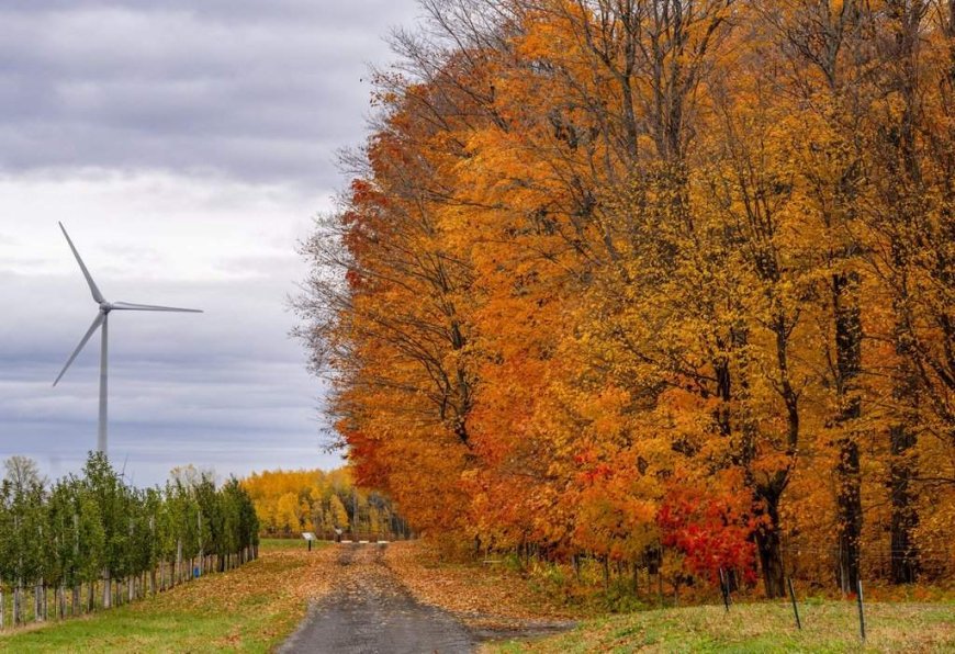 Nova Scotia approves plans for the province’s largest onshore wind farm