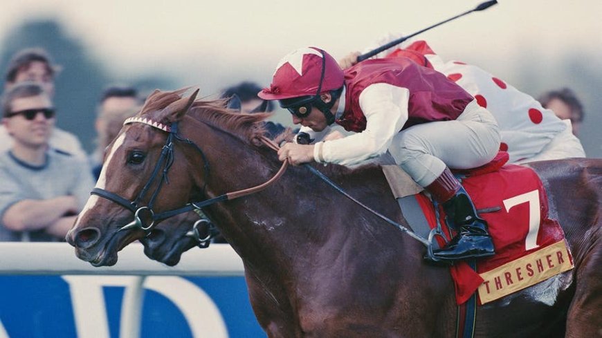 Famed jockey hospitalized with broken ribs and broken thumb after traffic accident in Newmarket