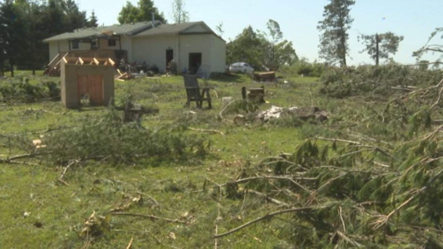 Southern Ontario storm damage prompts tornado investigation