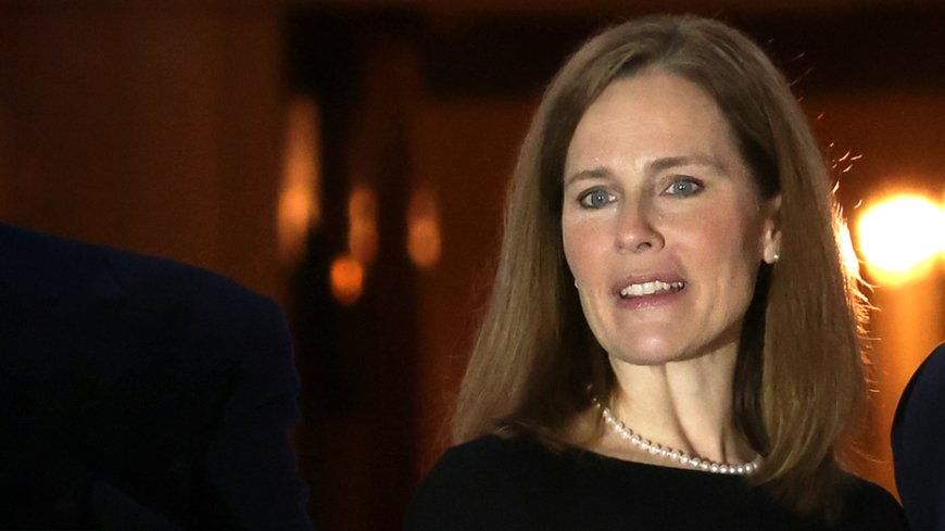 MIKE DAVIS: Dissecting the Supreme Court's 'birthright' betrayal