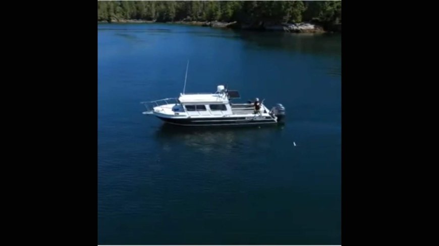 Former owner of sunken B.C. vessel speaks, identifies the boat involved