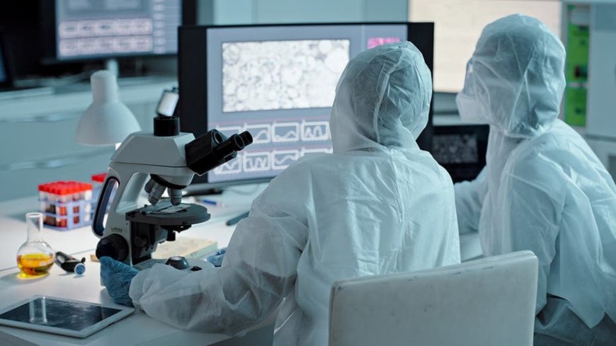 'Milestone': Scientists claim to build synthetic cell, raising concerns in step toward artificial life