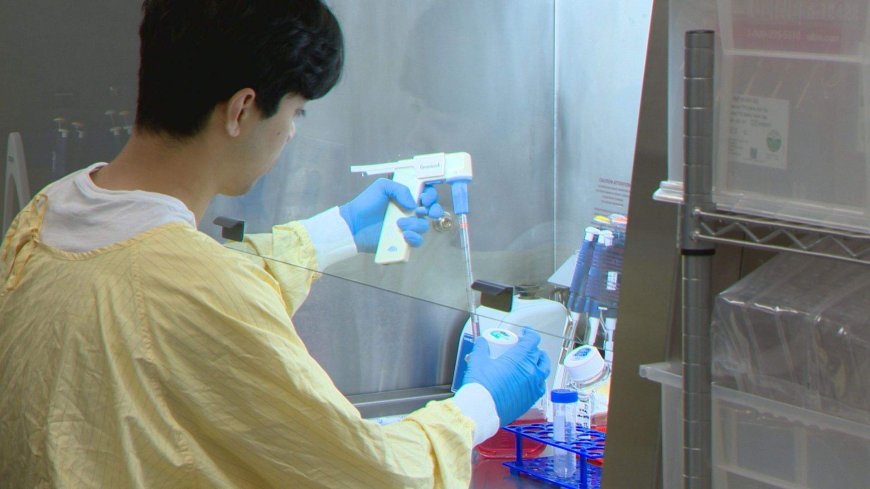 University of Calgary developing new immunotherapy cancer treatment
