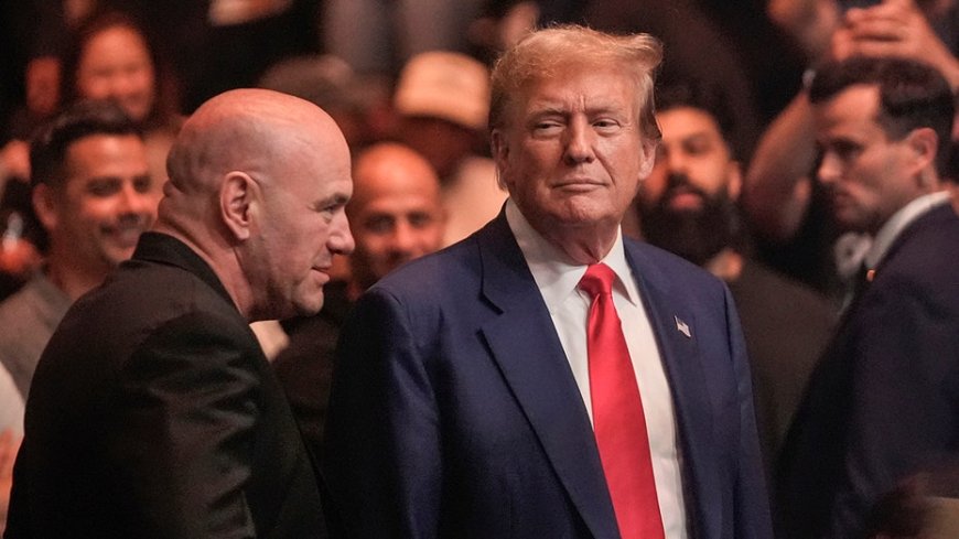 Dana White says Donald Trump wouldn't stop pushing to make the White House UFC event bigger