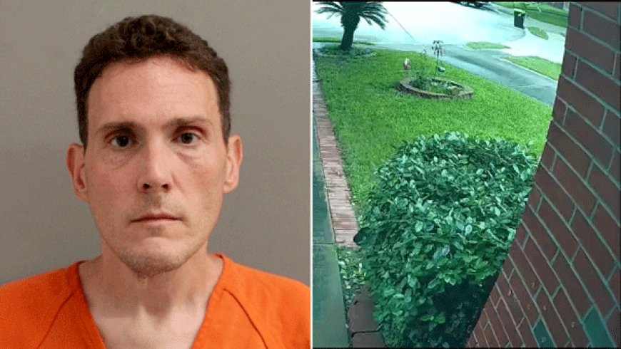 Driver charged with manslaughter after Tesla crashes into Texas home, kills grandmother