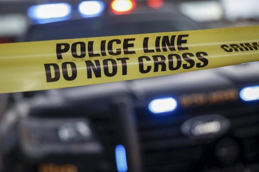 Woman found dead in Quebec City forest was victim of homicide: police