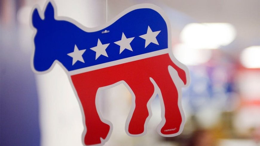 Democrats' 'pathetic groveling' for fundraising bashed in New York Times column