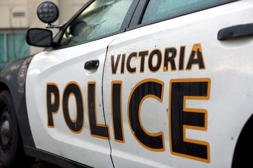 3 hurt, 2 arrested after confrontation near Victoria’s Beacon Hill Park