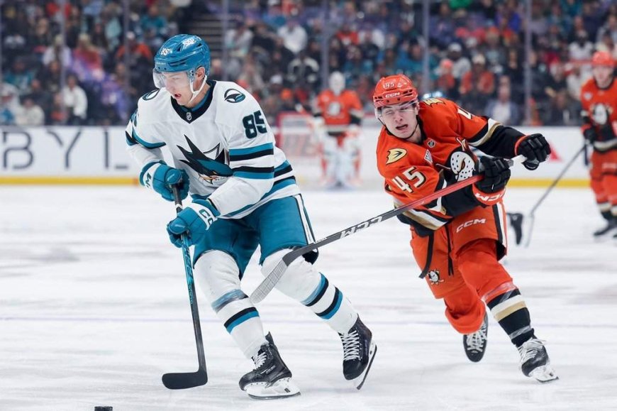 Oilers sign d-men Mukhamadullin, Stastney