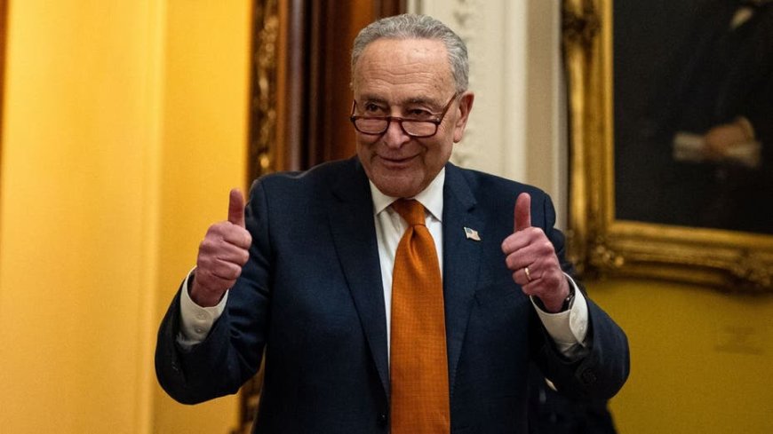 STEVE FORBES: Chuck Schumer has a beef with beef, but doesn’t even know how to grill it