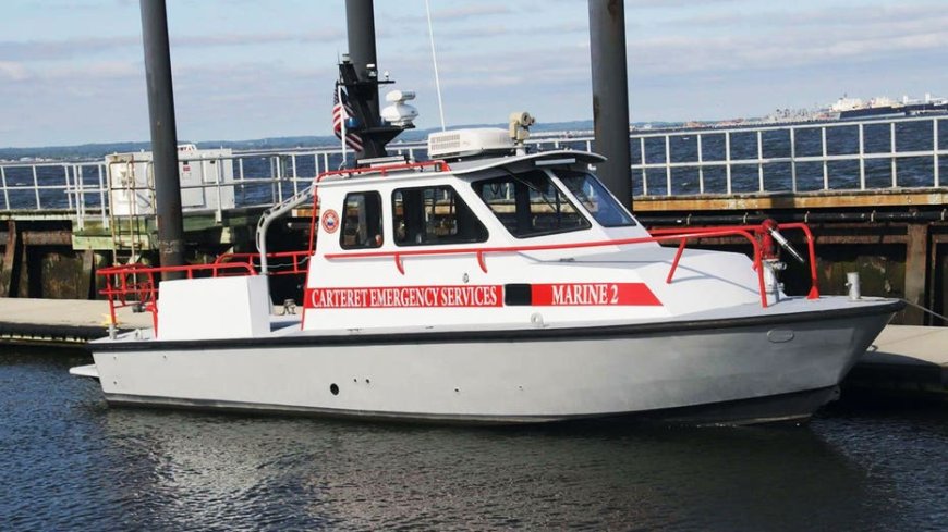 New York Harbor whale strike sinks fire rescue boat after July 4 celebrations