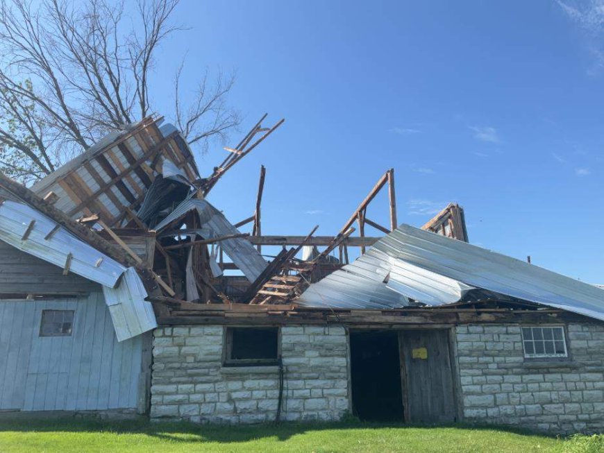 Flattened trees, damaged buildings caused by 2 tornadoes near Kingston: researchers