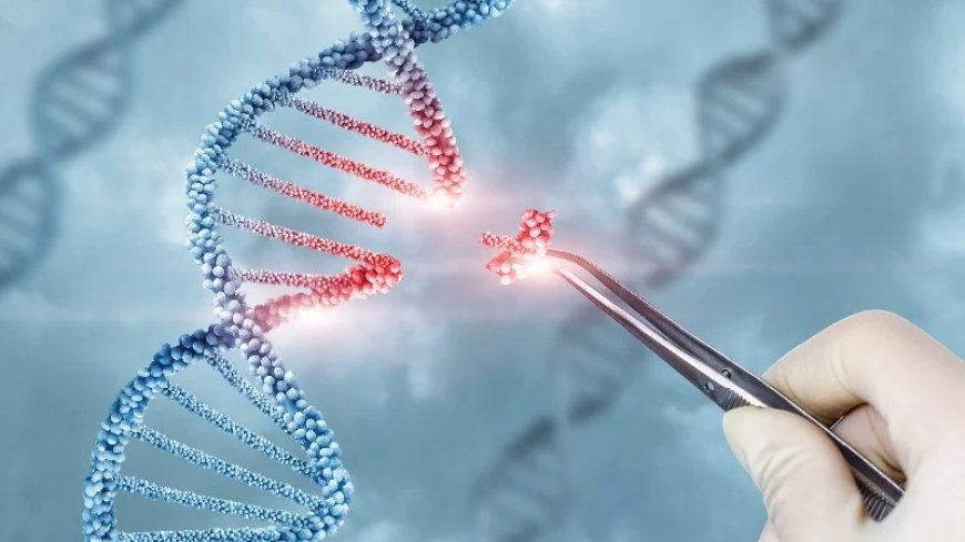 Gates Foundation Funded Joint US/Wuhan Lab Team To Engineer DNA-Editing Virus
