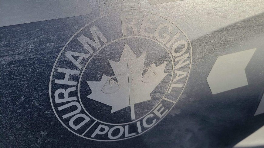 Toddler bitten in the face by coyote at Whitby, Ont., playground: police
