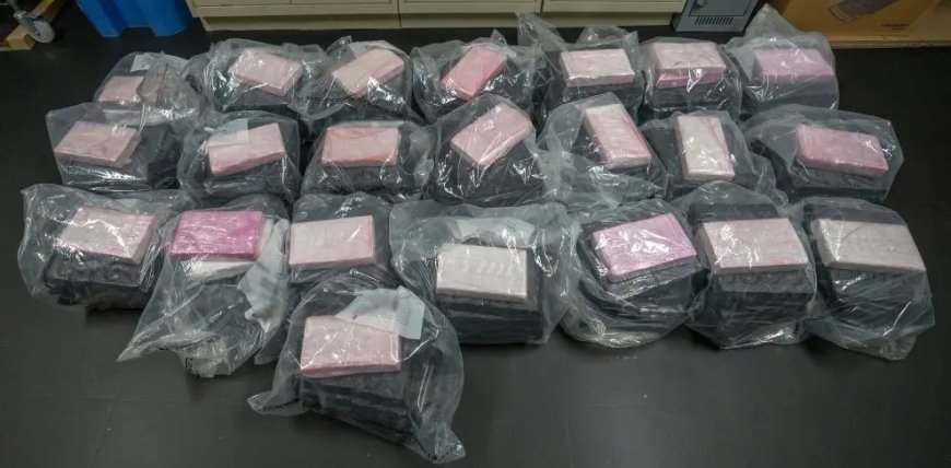 $20M worth of cocaine seized by York police and CBSA, 6 arrested