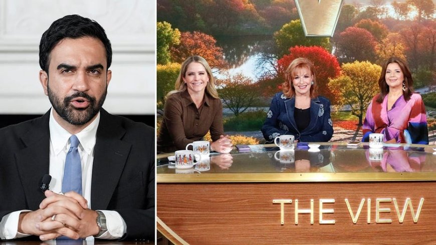 Mamdani aide unloaded on ABC executives after 'The View' host called socialist candidate an antisemite: report