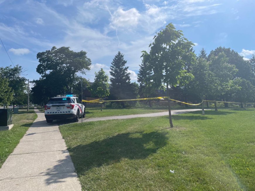 2 dogs killed in Toronto-area shooting, police investigating