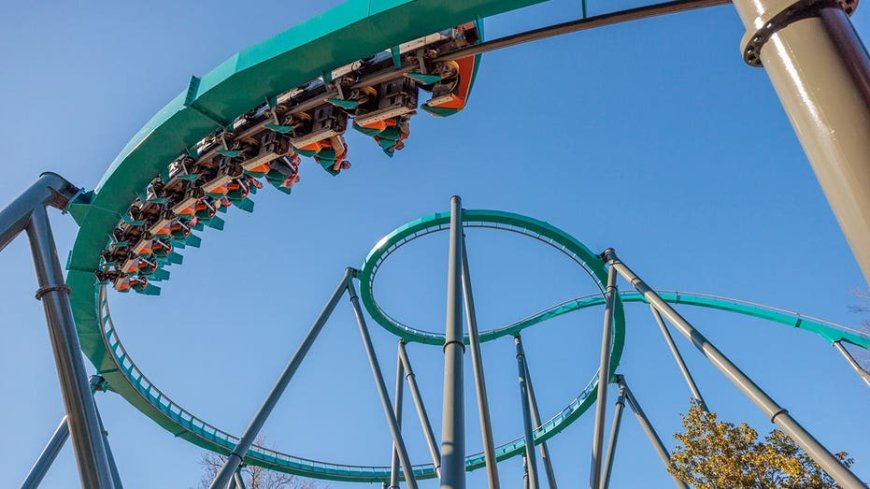 Terrifying scene unfolds at Six Flags as storm-toppled tree sends 4 guests to hospital