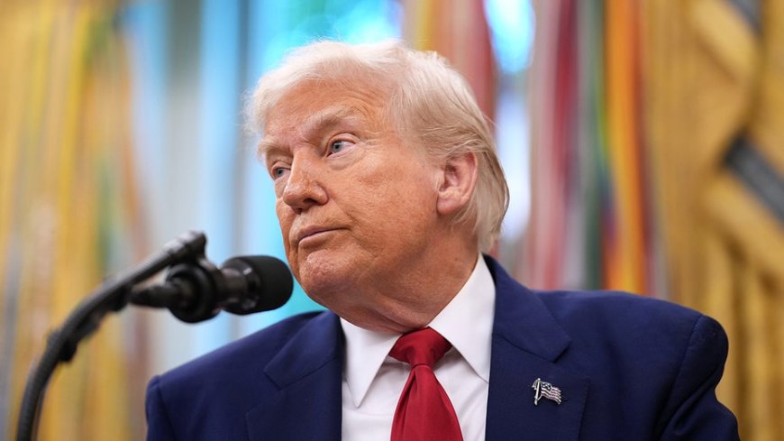 Legal war on Trump’s agenda gains firepower as federal lawyers defect to Democrats