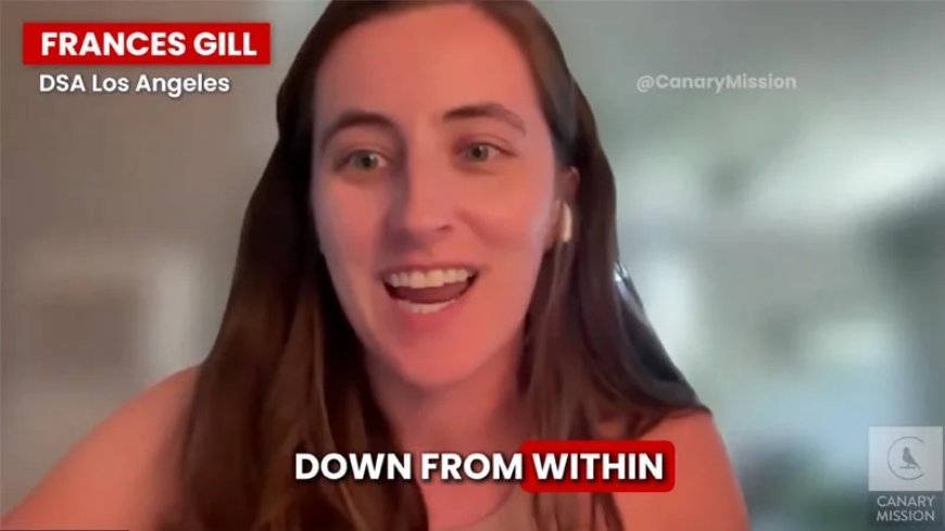 Meet The New Democratic Party: Socialists Say The Quiet Part Out Loud, Want To “Destroy America From Within”
