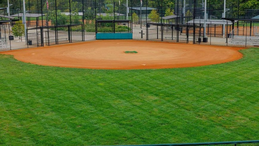 Vegas Little League president accused of spending league money on strip clubs and erectile dysfunction meds