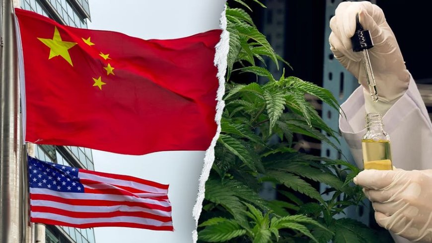 Former acting DHS secretary warns Chinese criminal organizations are infiltrating America's hemp industry